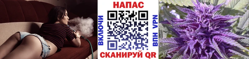 Цена Мытищи АМФЕТАМИН  COCAIN  kraken маркетплейс  Галлюциногенные грибы  Марихуана  A-PVP  Мефедрон  Гашиш 