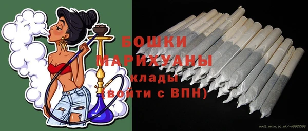 apvp Няндома