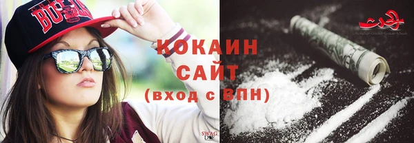 apvp Няндома