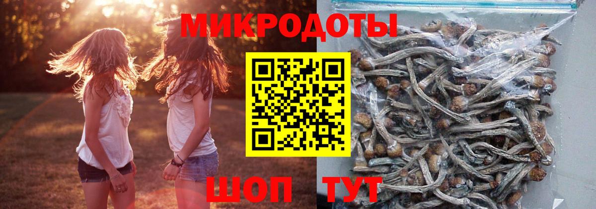 Мытищи  Галлюциногенные грибы MAGIC MUSHROOMS  Вход с VPN 